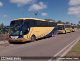 Águia Dourada 20155 na cidade de São Cristóvão, Sergipe, Brasil, por Gladyston Santana Correia. Número da foto: #10404802.