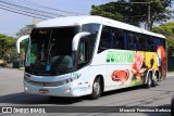 Eucatur - Empresa União Cascavel de Transportes e Turismo 4928 na cidade de São Paulo, São Paulo, Brasil, por Moaccir  Francisco Barboza. Número da foto: #:id.