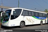 Servicios Expresso de Transporte SET-0050 na cidade de Gustavo A. Madero, Ciudad de México, México, por Omar Ramírez Thor2102. Número da foto: #10410917.