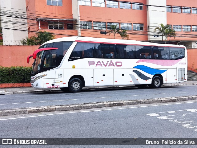 Turismo Pavão 14301 na cidade de São Bernardo do Campo, São Paulo, Brasil, por Bruno  Felício da Silva. ID da foto: 10419416.