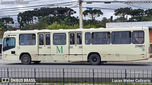 Viação Castelo Branco 25M01 na cidade de Curitiba, Paraná, Brasil, por Lucas Weber Calizario. Número da foto: #10421762.