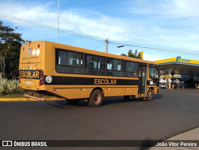 Prefeitura Municipal de Fernandópolis 403 na cidade de Fernandópolis, São Paulo, Brasil, por João Vitor Pereira. Número da foto: #10424719.