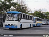 Ônibus Particulares 1010 na cidade de Recife, Pernambuco, Brasil, por Igor Felipe. Número da foto: #10429770.
