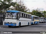 Ônibus Particulares 1010 na cidade de Recife, Pernambuco, Brasil, por Igor Felipe. ID da foto: :id.