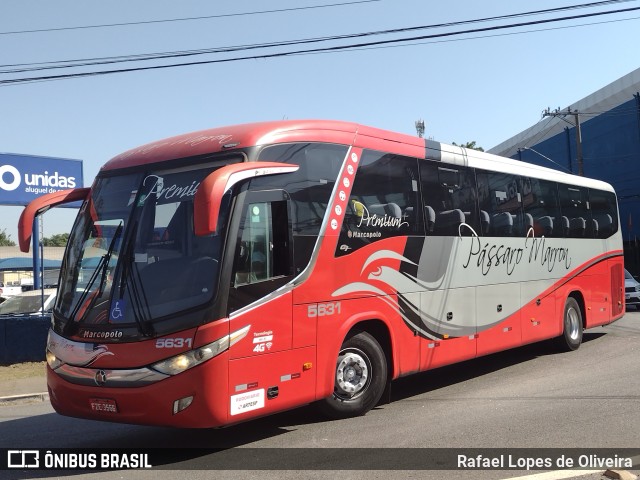 Empresa de Ônibus Pássaro Marron 5631 na cidade de São Paulo, São Paulo, Brasil, por Rafael Lopes de Oliveira. ID da foto: 10344334.