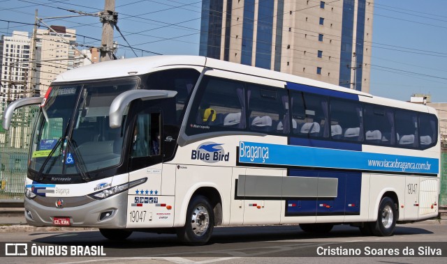 Auto Viação Bragança 19047 na cidade de São Paulo, São Paulo, Brasil, por Cristiano Soares da Silva. Número da foto: #10342125.