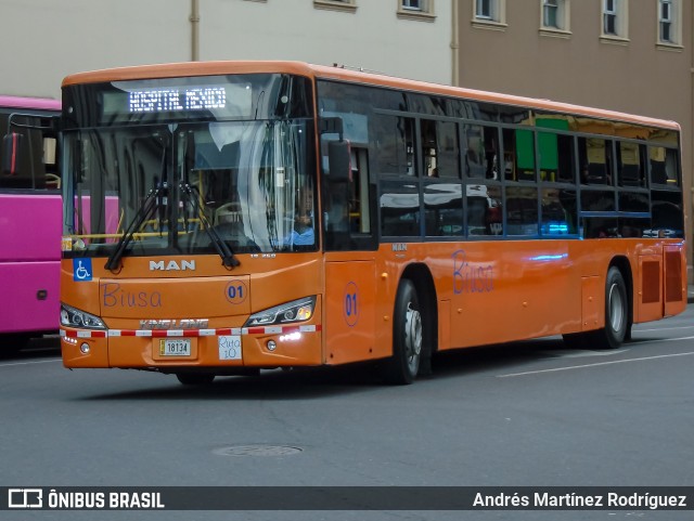 BIUSA 01 na cidade de Merced, San José, San José, Costa Rica, por Andrés Martínez Rodríguez. Número da foto: #10343237.