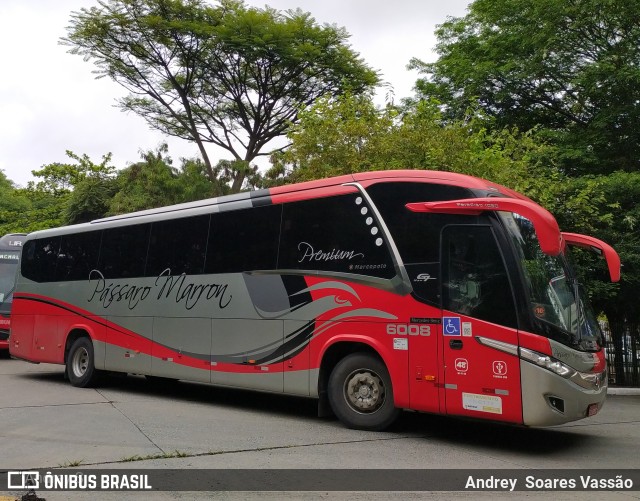 Empresa de Ônibus Pássaro Marron 6008 na cidade de São Paulo, São Paulo, Brasil, por Andrey  Soares Vassão. ID da foto: 10433621.