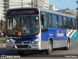 Auto Ônibus Fagundes RJ 101.170 na cidade de Niterói, Rio de Janeiro, Brasil, por Pedro Vinicius. Número da foto: #:id.