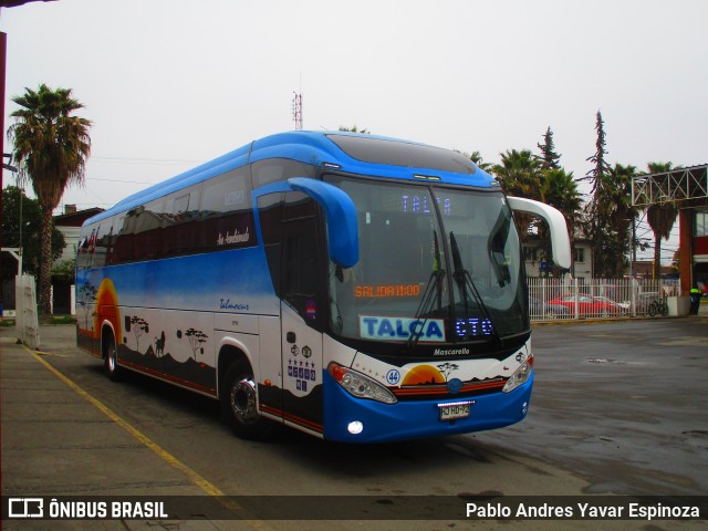 Talmocur 44 na cidade de Curicó, Curicó, Maule, Chile, por Pablo Andres Yavar Espinoza. Número da foto: #10346539.