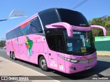 Nova América Turismo 2500 na cidade de Holambra, São Paulo, Brasil, por Jacy Emiliano. Número da foto: #:id.