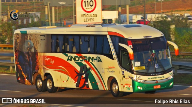 Empresa de Transportes Andorinha 7104 na cidade de Campinas, São Paulo, Brasil, por Felipe Rhis Elias. ID da foto: 10355449.