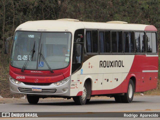Rouxinol 2055 na cidade de Conselheiro Lafaiete, Minas Gerais, Brasil, por Rodrigo  Aparecido. Número da foto: #10357026.