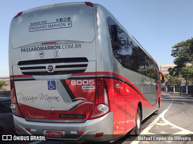 Empresa de Ônibus Pássaro Marron 6005 na cidade de São Paulo, São Paulo, Brasil, por Rafael Lopes de Oliveira. Número da foto: #10358830.