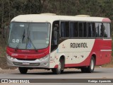 Rouxinol 2055 na cidade de Conselheiro Lafaiete, Minas Gerais, Brasil, por Rodrigo  Aparecido. Número da foto: #10357026.