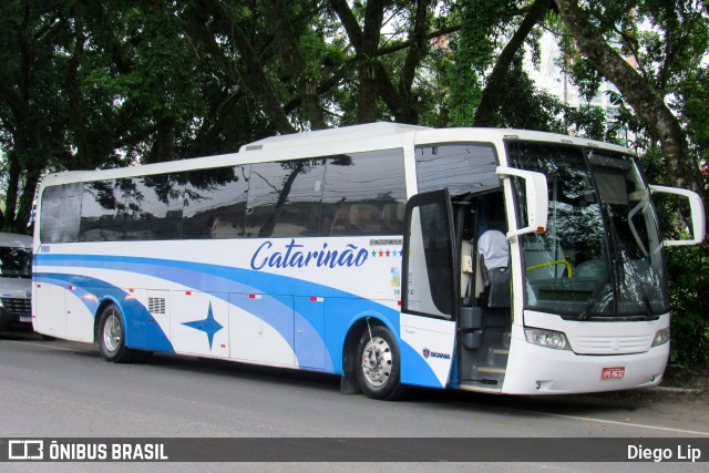 Catarinão Turismo 10000 na cidade de Joinville, Santa Catarina, Brasil, por Diego Lip. Número da foto: #10359355.
