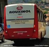 Rouxinol 1601 na cidade de Ibirité, Minas Gerais, Brasil, por Vinícius Ferreira Rodrigues. Número da foto: #:id.